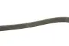 РЕМІНЬ Gates 6PK1255 (фото 3)
