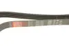 РЕМІНЬ Gates 6PK1255 (фото 4)