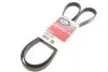 Ремінь генератора клиновий GATES 6PK1670