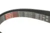 Ремінь генератора MB W202/210 M112/113 97- (WP,PS) GATES Gates 6PK2315 (фото 2)