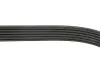 Ремінь генератора MB W202/210 M112/113 97- (WP,PS) GATES Gates 6PK2315 (фото 3)