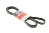 РЕМІНЬ Gates 6PK2585 (фото 2)