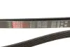 РЕМІНЬ Gates 6PK2585 (фото 4)