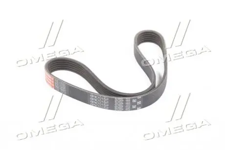 Поліклінові ремені Micro-V StretchFit (Вир-во) Gates 6PK701SF