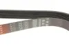 РЕМІНЬ Gates 7PK1550 (фото 4)