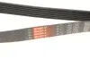 РЕМІНЬ Gates 7PK1550 (фото 5)