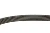 Поликлиновые ремни Micro-V (Пр-во) Gates 7PK1645 (фото 3)