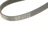 Ремінь Gates 7PK2120 (фото 4)