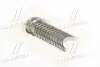 Вкладиші корінні BMW HL STD M20/M21/M50/M51/M52/M54/M57 із двома замками (вир-во GLYCO) Glyco H023/7 STD (фото 1)
