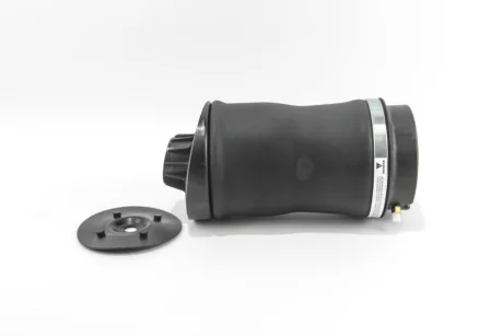 Подушка пневмопідвіски (ззаду) MB R-class (W251/V251) 06-14 GOODREM RA0144