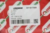 Фільтр повітряний Lexus GS/IS/2.0-3.5 12 GOODREM RF1817WB (фото 3)