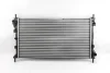 Радіатор охолодження двигуна Transit/Connect 1.8TDCI 02-13 GOODREM RH0295 (фото 2)