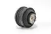Подушка двигуна MB C/E-клас (W202/W203/W210/W211) GOODREM RR3699 (фото 3)