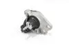 Подушка двигуна Пр. Kangoo 1.5/1.9dCi GOODREM RR5066 (фото 2)
