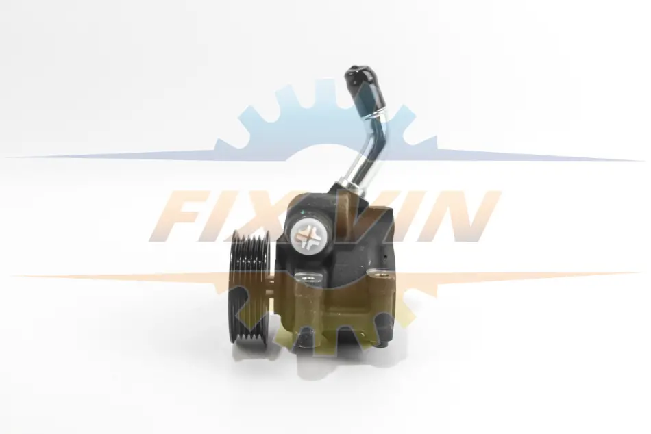 Насос гідропідсилювача Fiesta/Fusion 1.2-1.6 01-10 GOODREM RS9232 (фото 1)