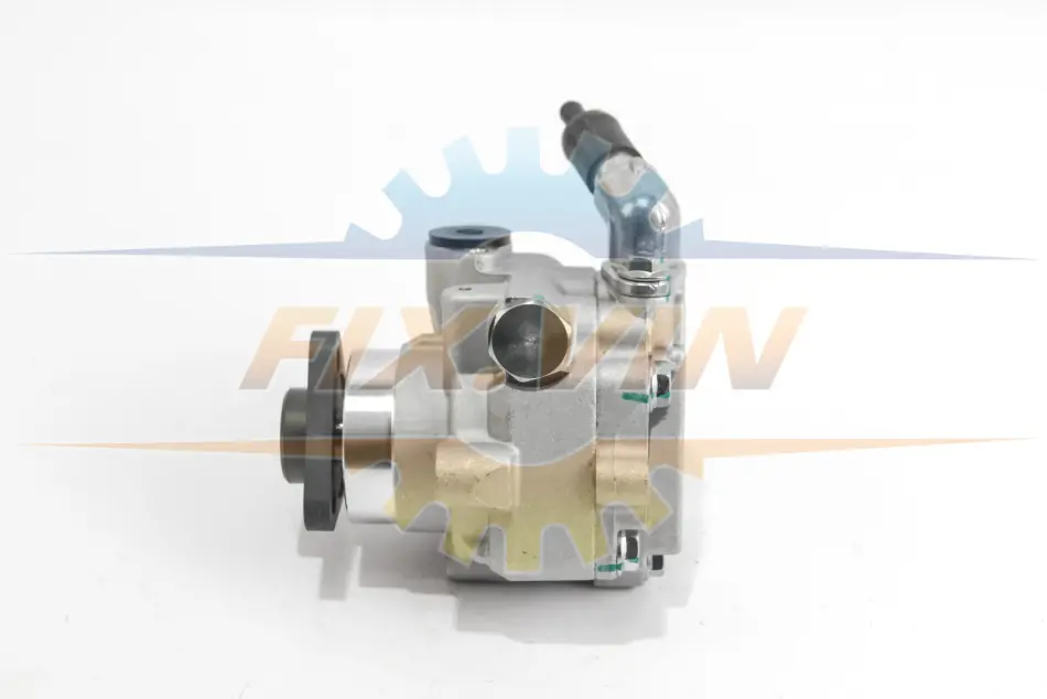 Насос гідропідсилювача VW Crafter 2.0TDI 11- GOODREM RS9269 (фото 1)