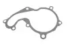 Насос водяний Ford C-Max I/Focus I/II/Mondeo/Trans GRAF PA742 (фото 2)