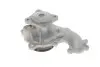Насос водяний Ford C-Max I/Focus I/II/Mondeo/Trans GRAF PA742 (фото 4)