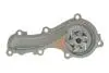 Помпа води Nissan Almera 1.5/1.6/1.8 00-/Primera 1.6/1.8 99-08 (R/B) (6 лоп) GRAF PA830 (фото 2)