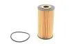 Фільтр масляний двигуна OPEL MOVANO 06-, VIVARO 06- (вир-во HENGST) HENGST FILTER E212HD231 (фото 1)