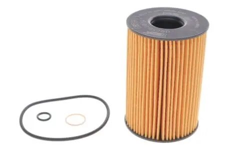 Фільтр масляний BMW 5 (F10)/7 (F01/F02/F03/F04)/X5 (F15/F85) 5.0 10- N63/S63 замінено на E359H D801 HENGST FILTER E359H D306 (фото 1)
