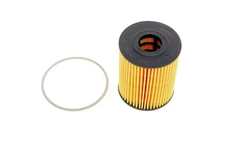 Фільтр масляний HENGST FILTER E60H D110