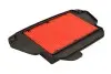 Повітряний фільтр HIFLO Hiflofiltro HFA1622 (фото 1)