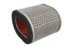 Повітряний фільтр HIFLO Hiflofiltro HFA1713 (фото 1)