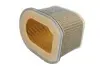 Повітряний фільтр HIFLO Hiflofiltro HFA2802 (фото 1)