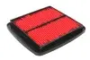 Повітряний фільтр HIFLO Hiflofiltro HFA3605 (фото 1)