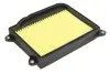 Повітряний фільтр HIFLO Hiflofiltro HFA4406 (фото 1)