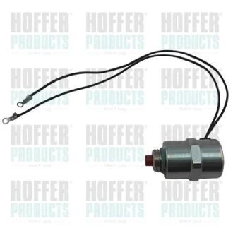 Клапан відсічний паливного насоса HOFFER 8029030