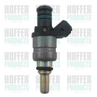 Форсунка бензинова HOFFER H75117813 (фото 1)