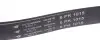 Ремінь генератора 6PK1020 Boxer 2.5D/TD 94>02 ALT,PS HUTCHINSON 1015K6 (фото 3)