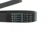 Ремінь генератора Mazda 2.0 MZR 07-10 1230 K 8 HUTCHINSON 1230K8 (фото 4)