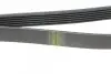 Ремінь генератора Renault Laguna 2.0 95-01 (6PK1240) 1237 K 6 HUTCHINSON 1237K6 (фото 3)