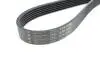 Ремінь генератора VW LT 2.8TDI 96KW/Ford Transit 2.0DI 00-14 (6PK1642) HUTCHINSON 1642 K 6 (фото 2)