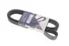 Ремінь генератора Renault Megane II 2.0 dCi 05-09 (7PK1705) HUTCHINSON 1705K7 (фото 1)