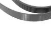 Ремінь генератора MB E-class (W124/S124) M104 93-96 (6PK2412) HUTCHINSON 2412 K 6 (фото 3)