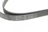 Ремінь генератора Porsche Cayenne/VW Touareg 3.0 TDI 09- (6PK2475) 2475 K 6 HUTCHINSON 2475K6 (фото 4)
