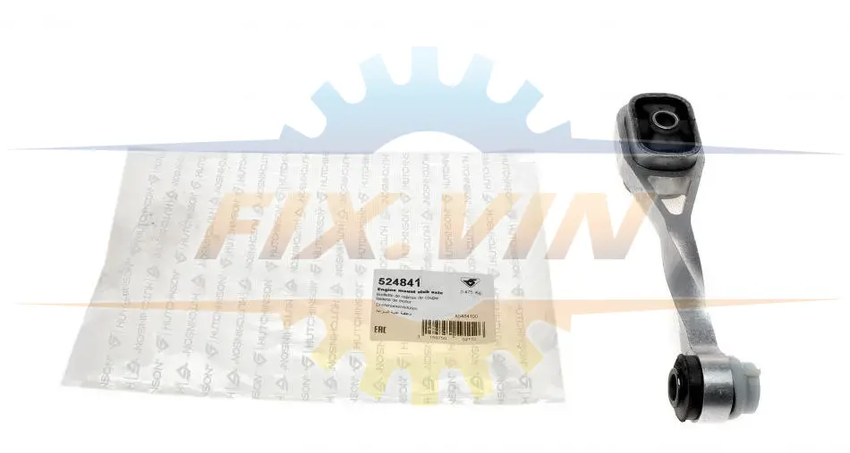 Подушка двигуна Clio II/Megane I 99- задня HUTCHINSON 524841 (фото 1)