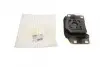 Подушка коробки передач передн Лів (мкпп) FORD C-MAX II, FOCUS III, GRAND C-MAX, TOURNEO CONNECT V408 NADWOZIE WIELKO, TRANSIT CONNECT V408/MINIVAN 1.0 02.12- HUTCHINSON 538C28 (фото 1)
