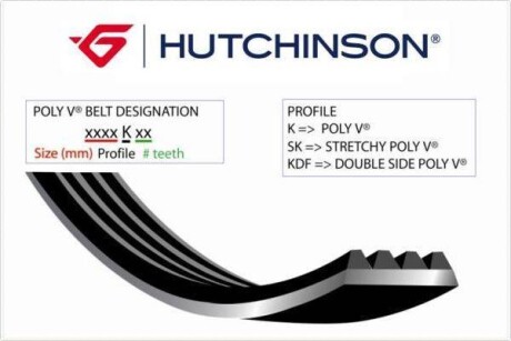 Ремiнь клиновий HUTCHINSON 582 K 5