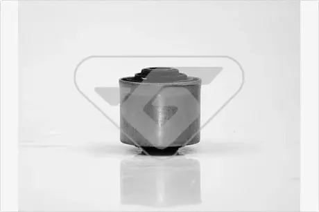 Сайлентблок важеля підвіски Renault Scenic, Megane, 19, Clio (92-03) Hutchinson HUTCHINSON 599006