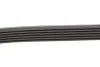 Ремінь генератора Citroen C4/Peugeot 307 1.6HDi 04- (6PK780) 780 K 6 HUTCHINSON 780K6 (фото 4)