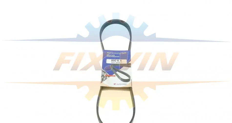 Ремінь генератора BMW 3/5 90-00 / Ford Focus 2.5 05-12 HUTCHINSON 890 K 5 (фото 1)