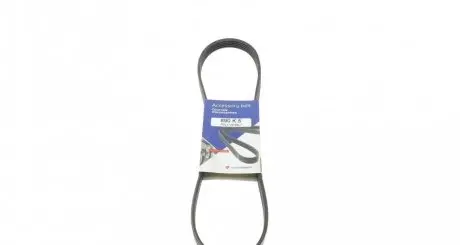 Ремінь генератора BMW 3/5 90-00 / Ford Focus 2.5 05-12 HUTCHINSON 890 K 5