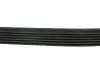 Ремінь генератора 6PK948 Golf V/Audi A3 2.0TDI 03> (-AC)/Jumper/Ducato 2.8HDI 00 HUTCHINSON 946 K 6 (фото 3)