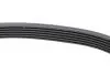Ремінь генератора VW Polo/Up 11-/Skoda Fabia 14-/Seat Ibiza 1.0/1.6 15- (6PK989) 989 SK 6 HUTCHINSON 989SK6 (фото 4)