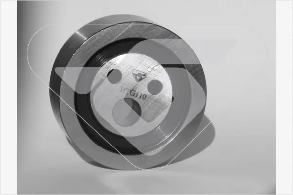 Натяжний ролик Renault Megane, Clio, Kangoo, Logan 1.4/ 1.6 (96-) Hutchinson HUTCHINSON HTG110 (фото 1)
